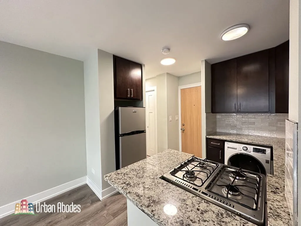 445 W Barry Ave, ,  60657, USA 60657-unit#318-Chicago-IL