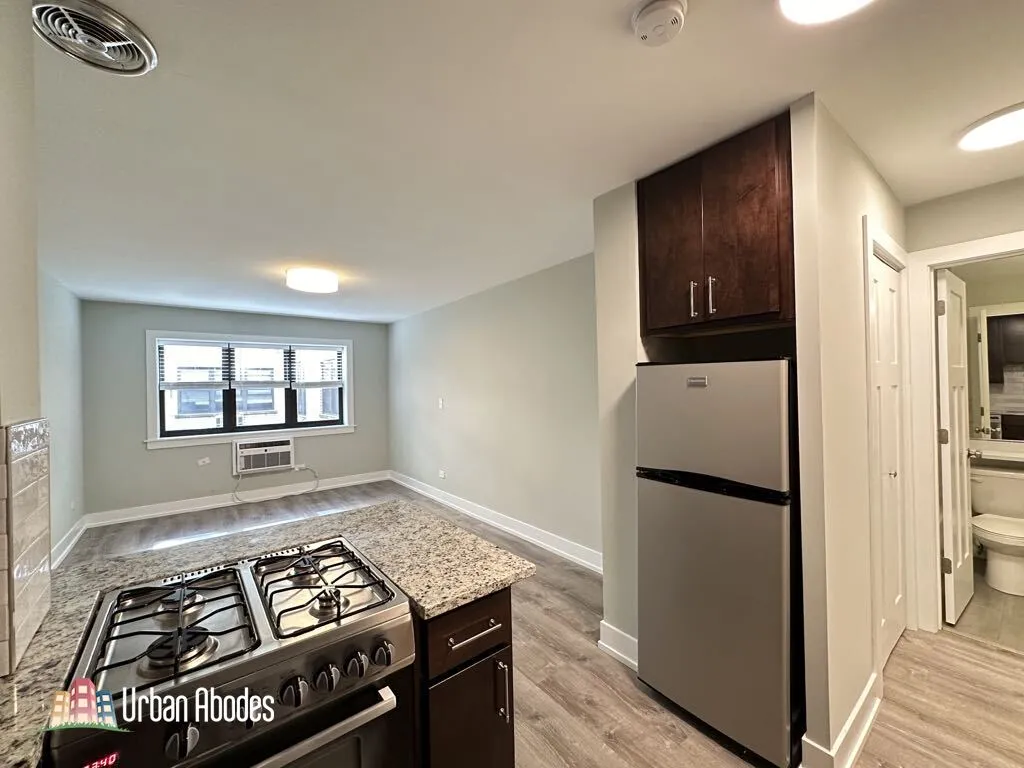 445 W Barry Ave, ,  60657, USA 60657-unit#318-Chicago-IL
