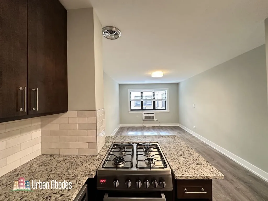 445 W Barry Ave, ,  60657, USA 60657-unit#318-Chicago-IL