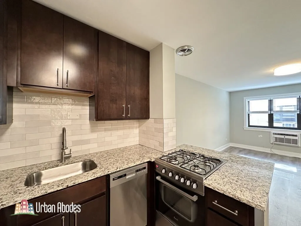 445 W Barry Ave, ,  60657, USA 60657-unit#318-Chicago-IL