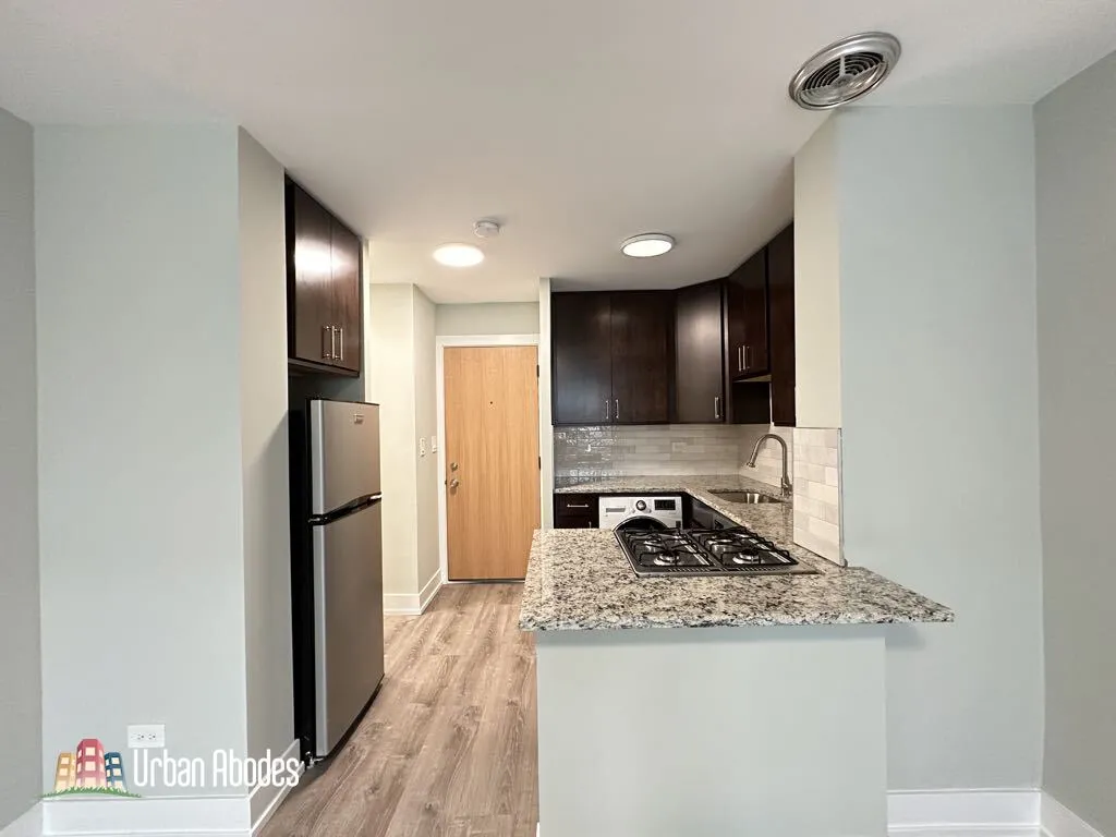 445 W Barry Ave, ,  60657, USA 60657-unit#318-Chicago-IL