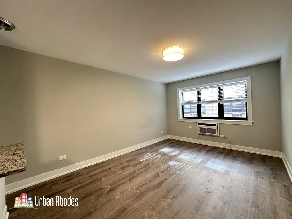 445 W Barry Ave, ,  60657, USA 60657-unit#318-Chicago-IL