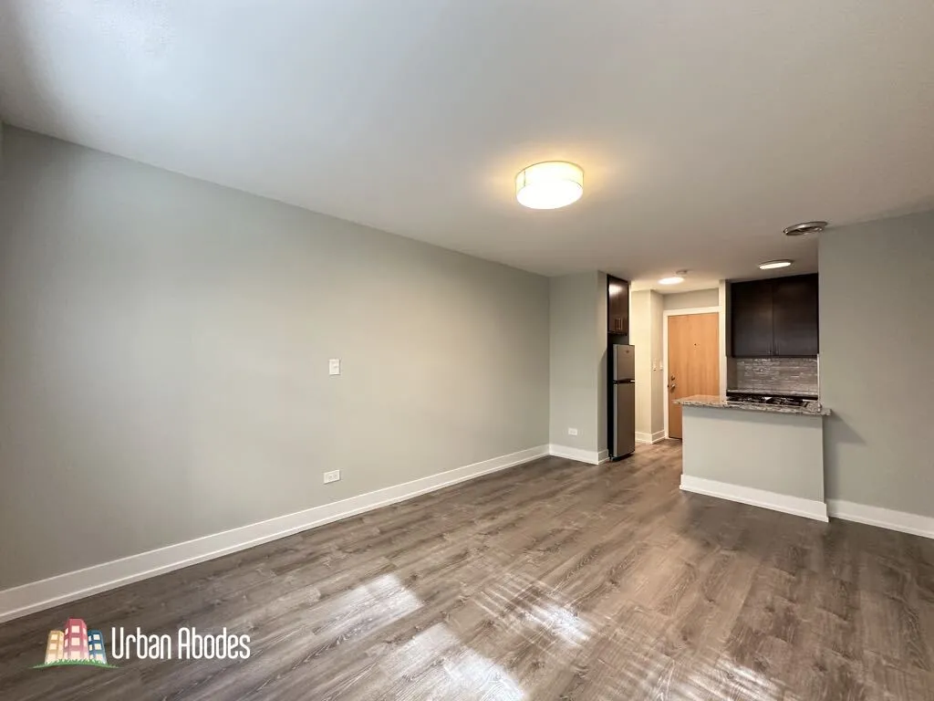 445 W Barry Ave, ,  60657, USA 60657-unit#318-Chicago-IL