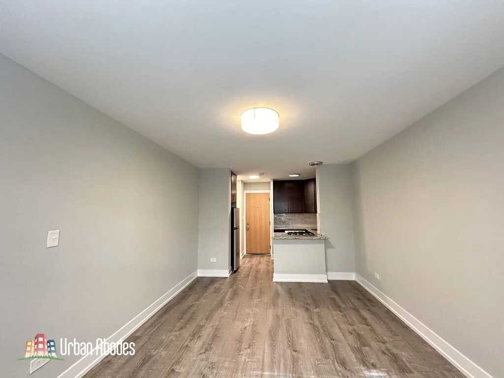 445 W Barry Ave, ,  60657, USA 60657-unit#318-Chicago-IL