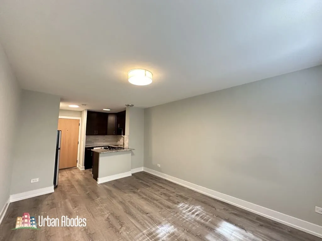 445 W Barry Ave, ,  60657, USA 60657-unit#318-Chicago-IL