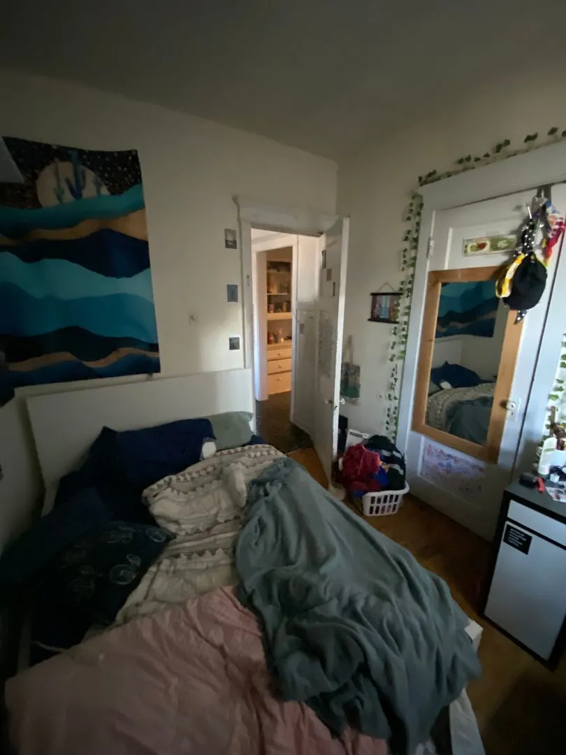 5424 S University Ave, ,  60615, USA 60615-unit#2S-Chicago-IL