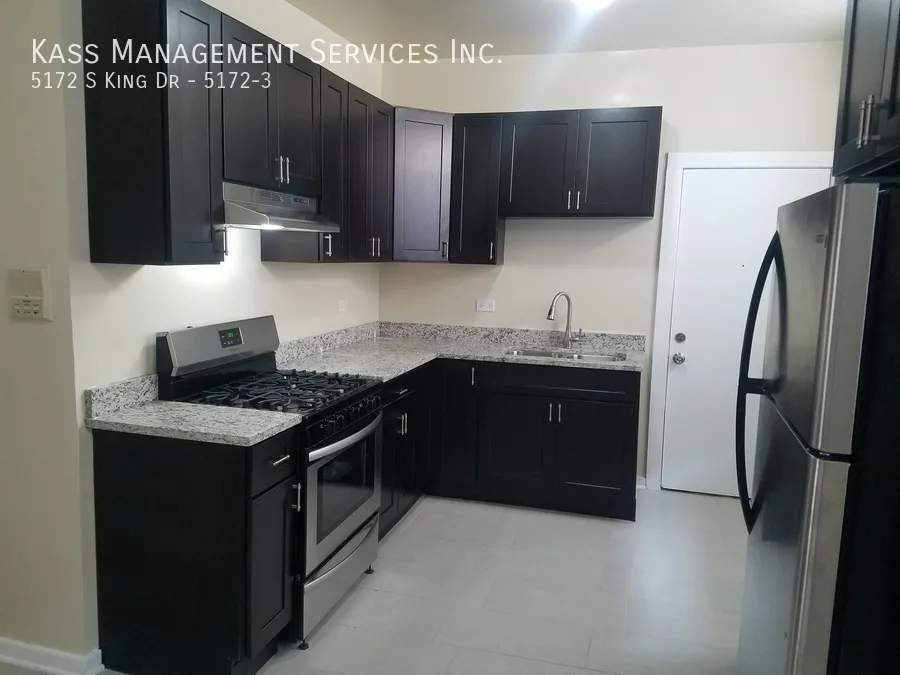 5162 S King Dr, , 60615, USA 60615-unit#5172-3-Chicago-IL