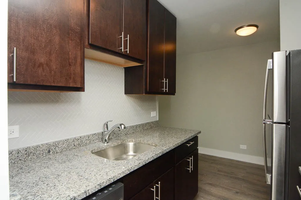 530 W Surf St, ,  60657, USA 60657-unit#209-Chicago-IL