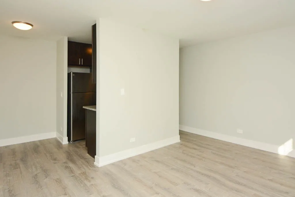 530 W Surf St, ,  60657, USA 60657-unit#209-Chicago-IL