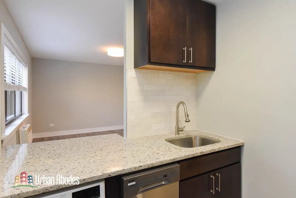 445 W Barry Ave, ,  60657, USA 60657-unit#530-Chicago-IL