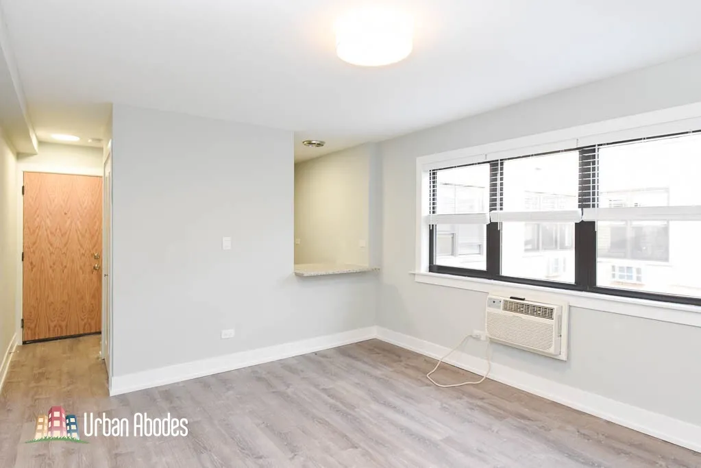 445 W Barry Ave, ,  60657, USA 60657-unit#530-Chicago-IL