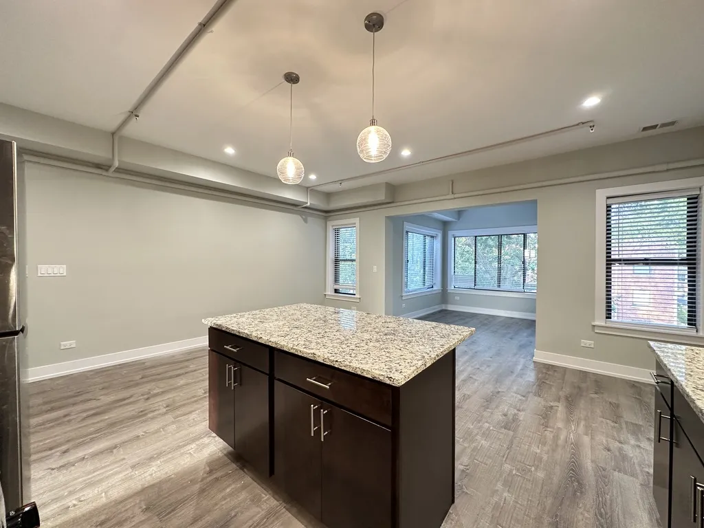 1142 Maple Ave, ,  60202, USA 60202-unit#3-Evanston-IL