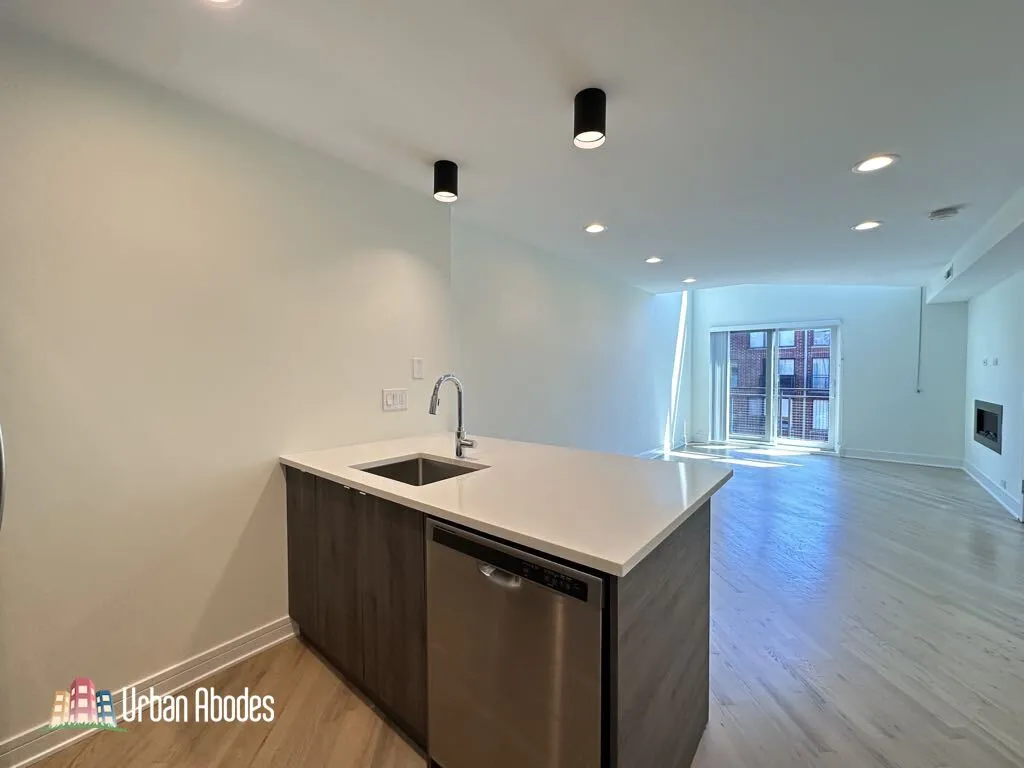 954 W Grace St, ,  60613, USA 60613-unit#E202-Chicago-IL