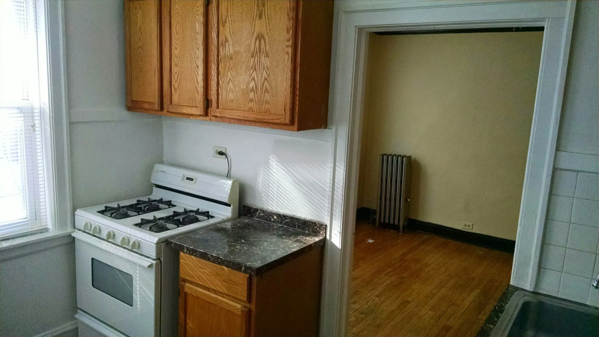 4850 W Henderson St, ,  60641, USA 60641-unit#1N-Chicago-IL