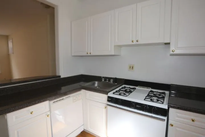 721 W Barry Ave, ,  60657, USA 60657-unit#1B-Chicago-IL