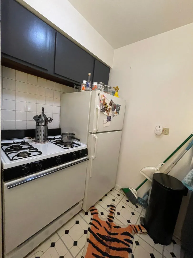 521 W Briar Pl, ,  60657, USA 60657-unit#308-Chicago-IL