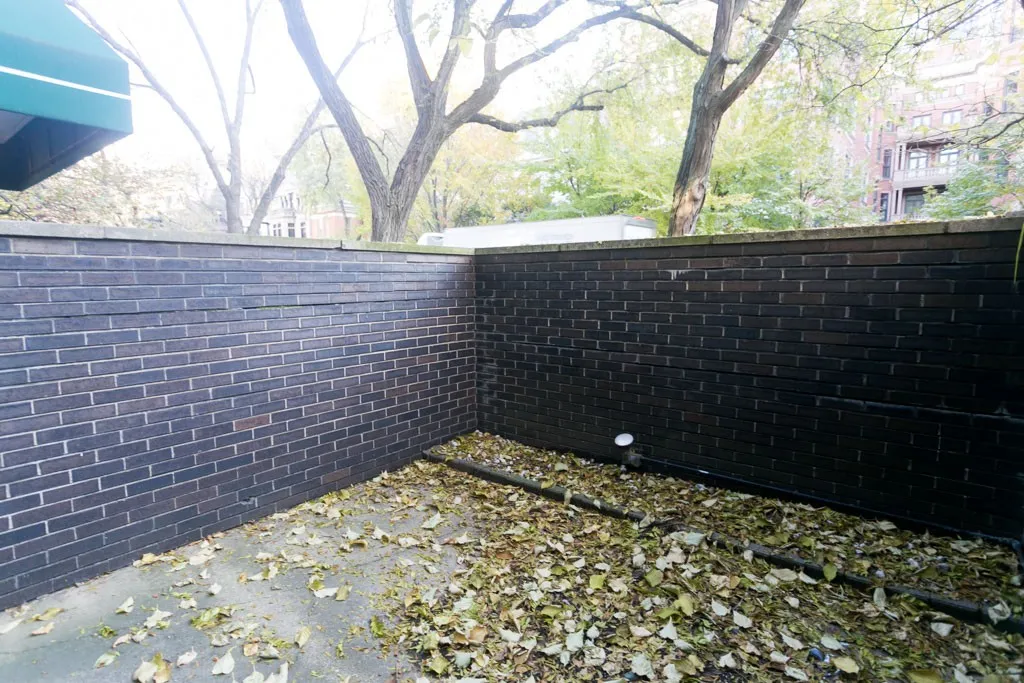 1446 N Dearborn St, ,  60610, USA 60610-unit#1A-Chicago-IL