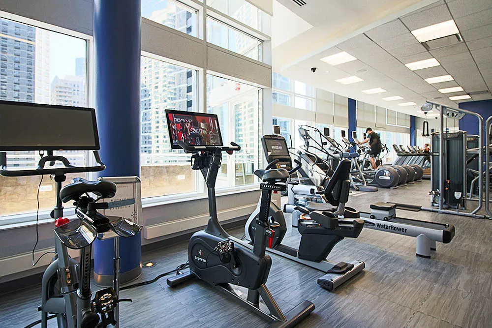 355 E Ohio St, ,  60611, USA 60611-unit#2/2 PENTHOUSE-Chicago-IL