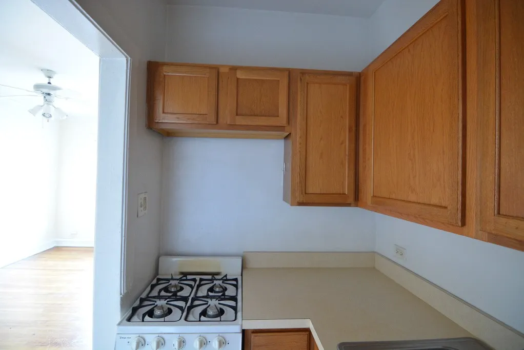 1164 N Dearborn St, ,  60610, USA 60610-unit#310-Chicago-IL