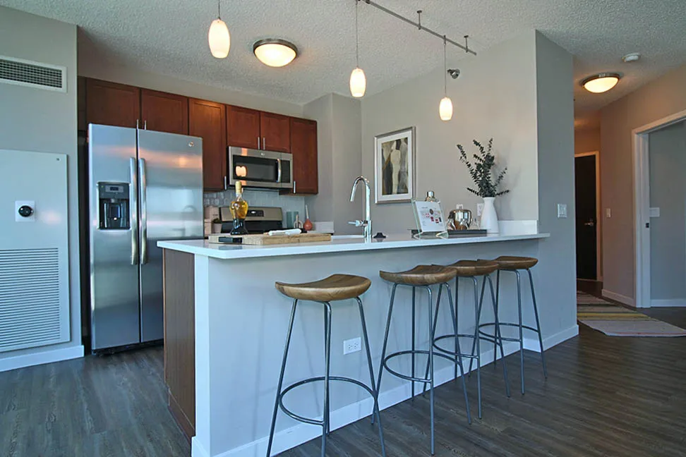 355 E Ohio St, ,  60611, USA 60611-unit#2/2 PENTHOUSE-Chicago-IL