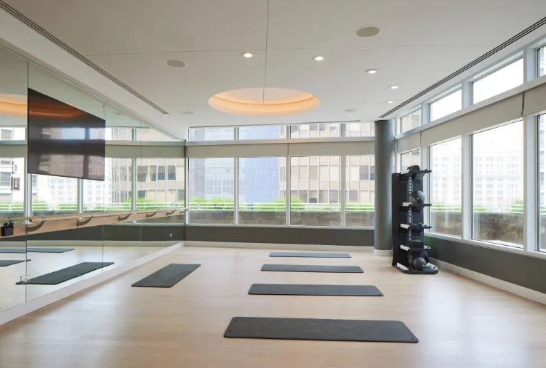 355 E Ohio St, ,  60611, USA 60611-unit#2/2 PENTHOUSE-Chicago-IL