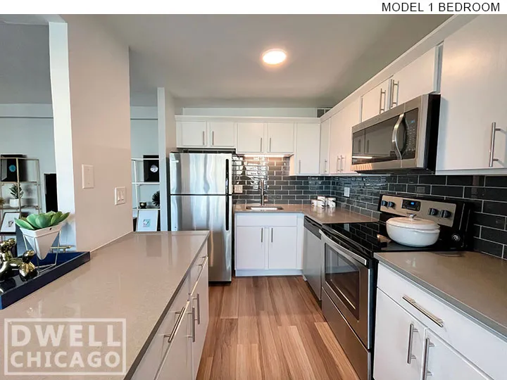 1130 S Michigan Ave, ,  60605, USA 60605-unit#2704-Chicago-IL