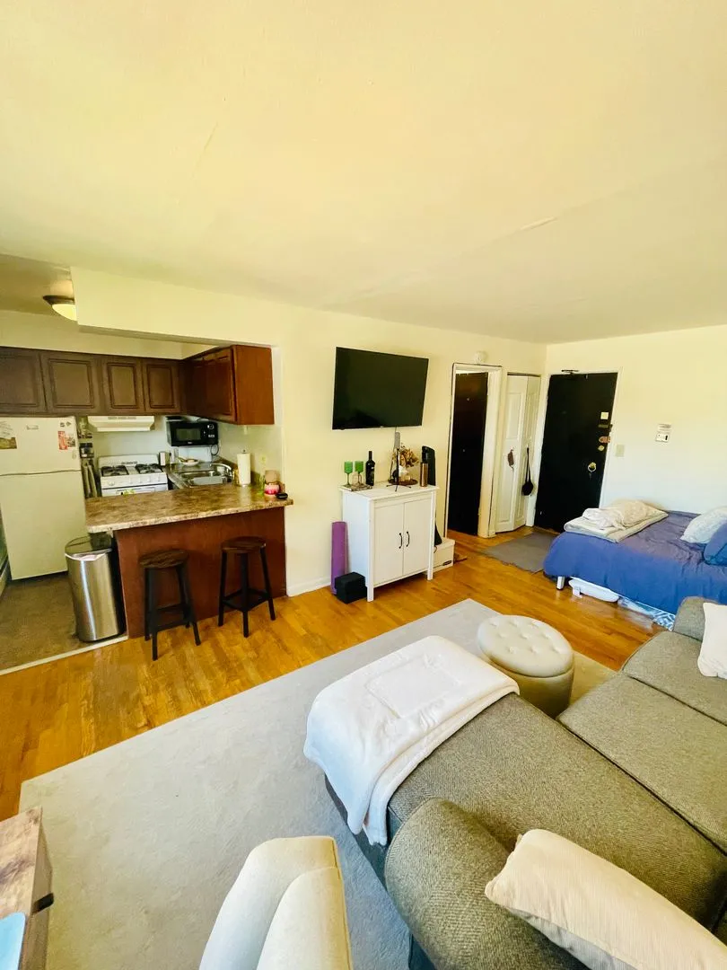 3160 N Cambridge Ave, , 60657, USA 60657-unit#504-Chicago-IL