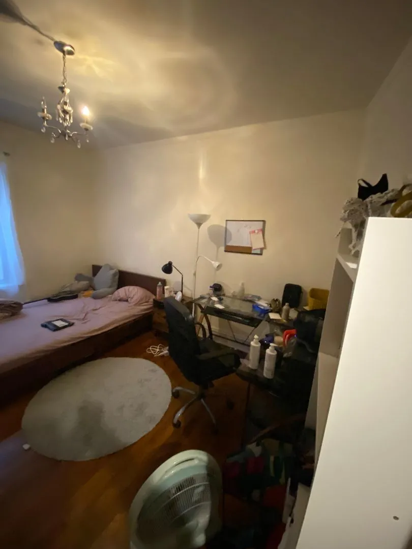 5424 S University Ave, ,  60615, USA 60615-unit#2S-Chicago-IL