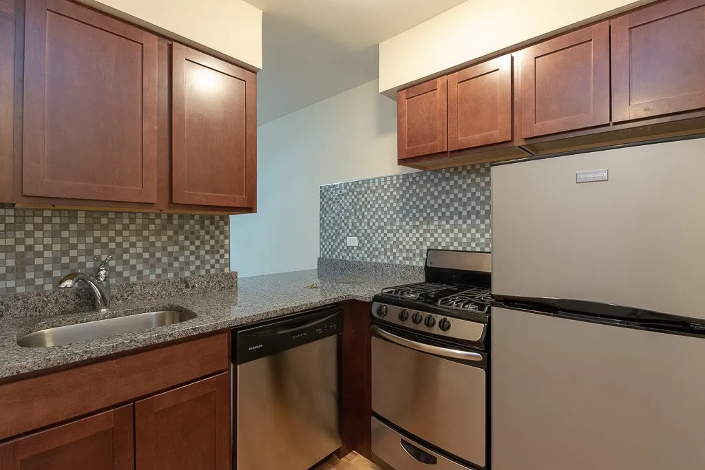 445 W Barry Ave, ,  60657, USA 60657-unit#223-Chicago-IL