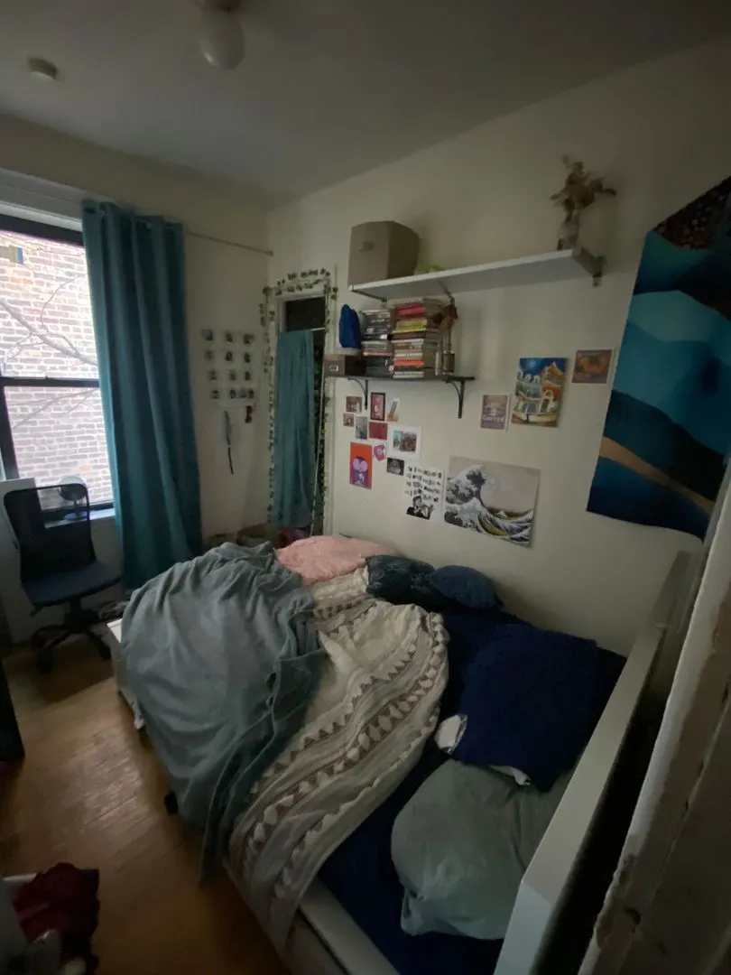 5424 S University Ave, ,  60615, USA 60615-unit#2S-Chicago-IL