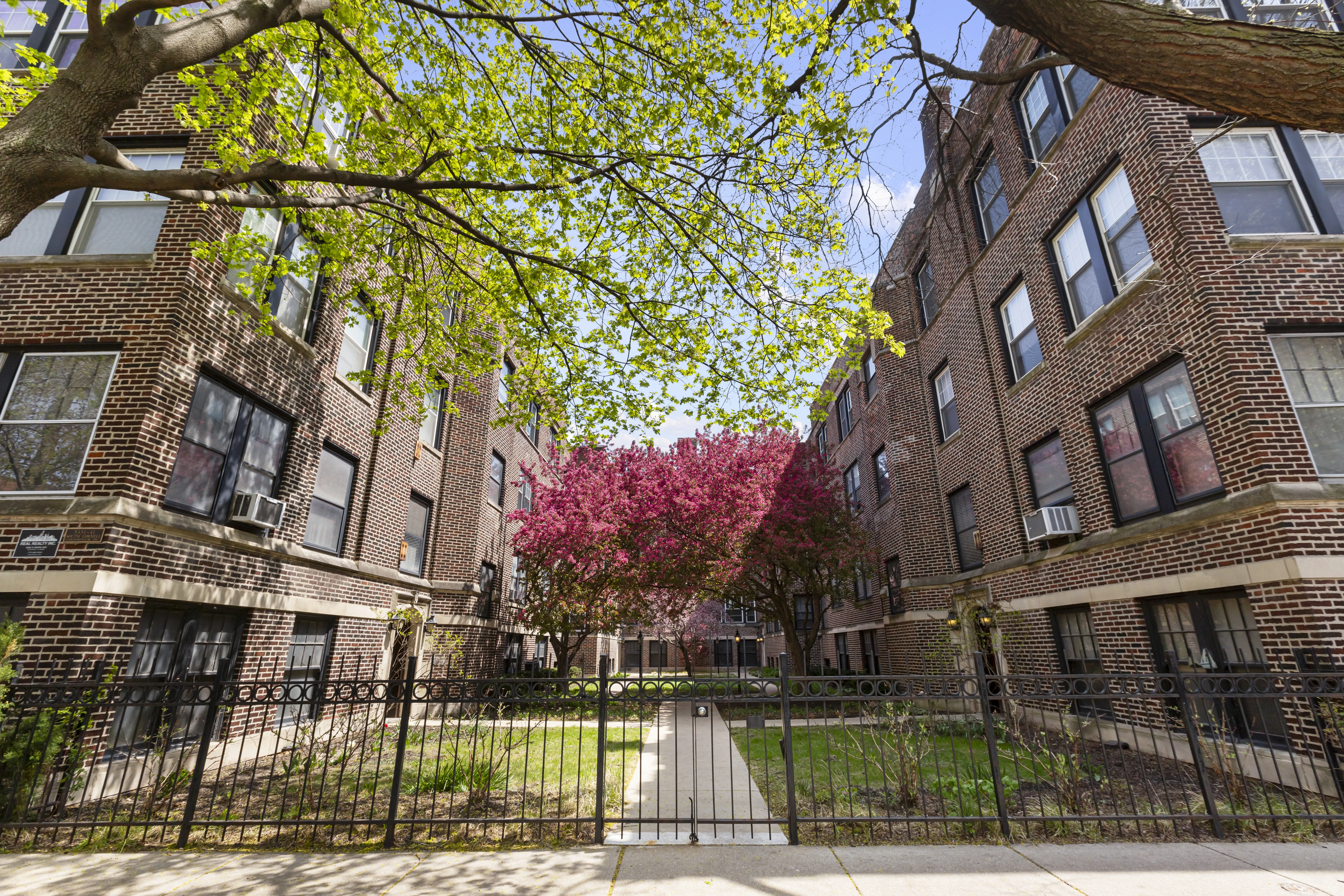 5331 S Cornell Ave, , 60615, USA 60615-unit#3-Chicago-IL