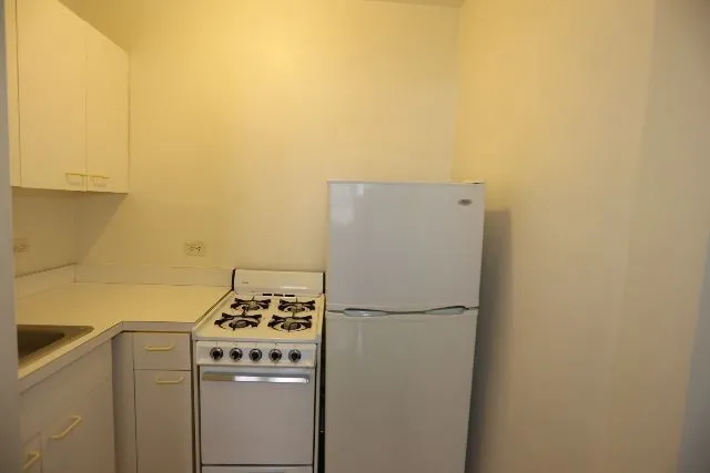 540 W Wellington Ave, ,  60657, USA 60657-unit#103-Chicago-IL