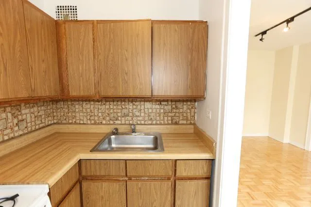 739 W Belmont Ave, ,  60657, USA 60657-unit#311-Chicago-IL