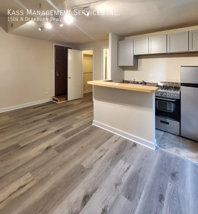 1504 N Dearborn Pkwy, , 60610, USA 60610-unit#106-Chicago-IL