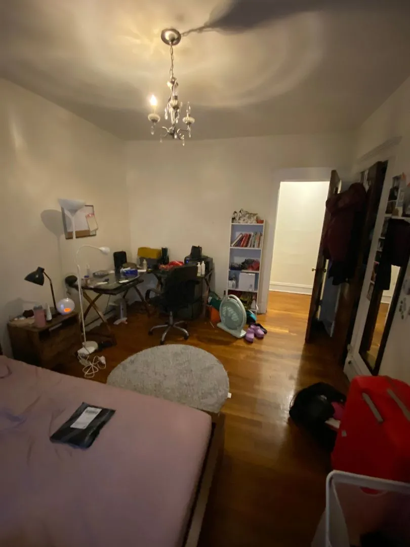 5424 S University Ave, ,  60615, USA 60615-unit#2S-Chicago-IL