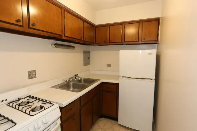 660 W Wrightwood Ave, ,  60614, USA 60614-unit#202-Chicago-IL