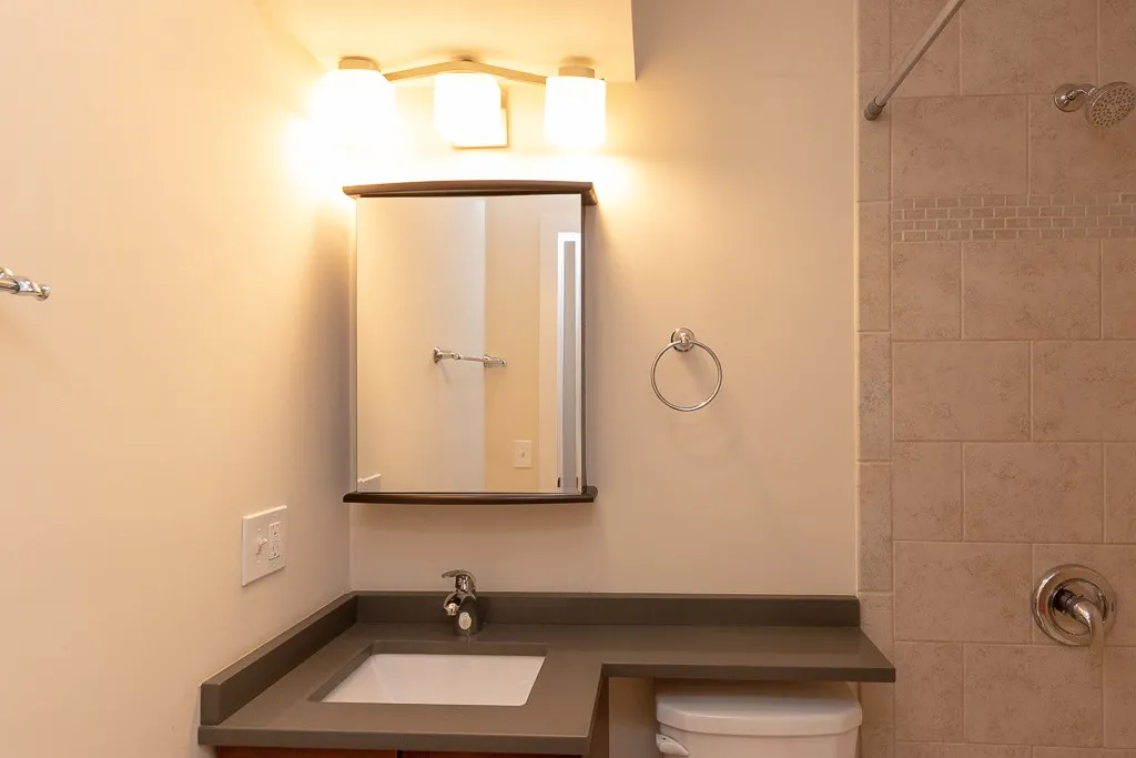 445 W Barry Ave, ,  60657, USA 60657-unit#223-Chicago-IL