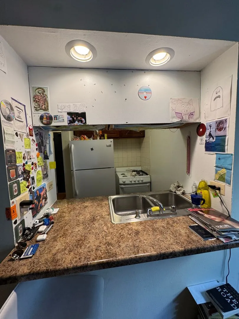 535 W Briar Pl, , 60657, USA 60657-unit#356-Chicago-IL