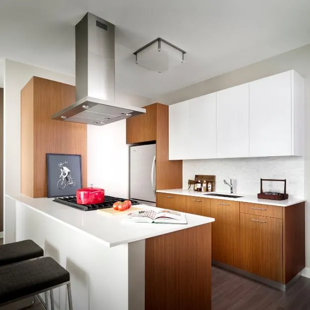 500 N Lake Shore Dr, ,  60611, USA 60611-unit#1/1-Chicago-IL