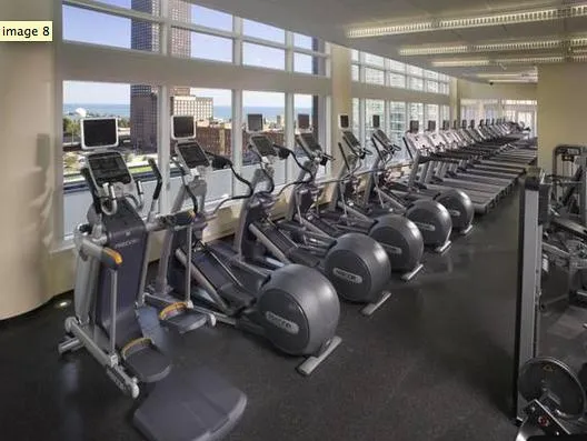 345 E Ohio St, ,  60611, USA 60611-unit#1/1-Chicago-IL