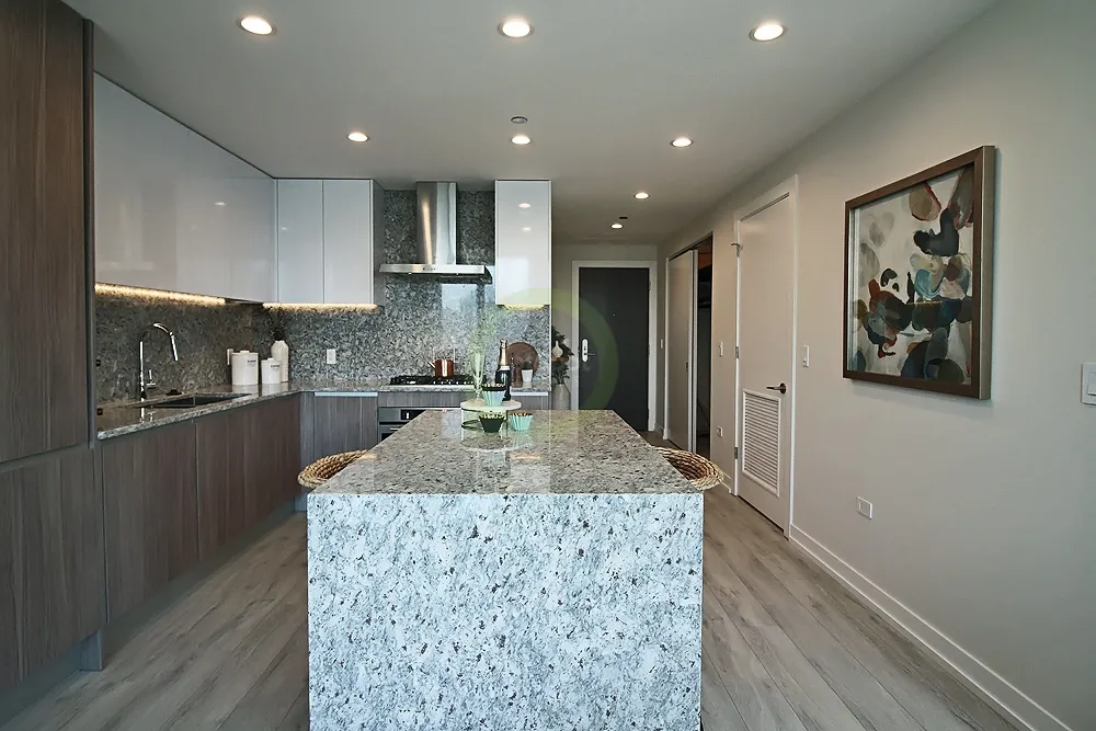 202 W Hill St, , 60610, USA 60610-unit#1/1 DEN-Chicago-IL