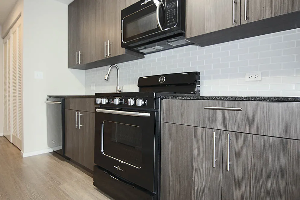 211 W Scott St, ,  60610, USA 60610-unit#CONVERTIBLE-Chicago-IL