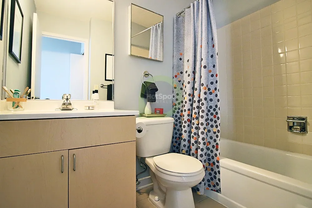 1212 S Michigan Ave, ,  60605, USA 60605-unit#1/1-Chicago-IL