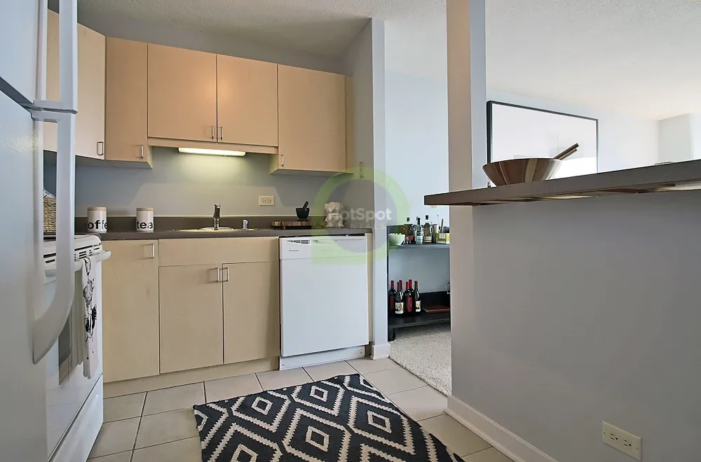 1212 S Michigan Ave, ,  60605, USA 60605-unit#1/1-Chicago-IL