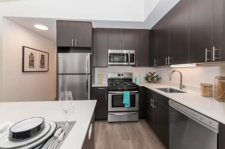 51 E 14th St, ,  60605, USA 60605-unit#2/2-Chicago-IL