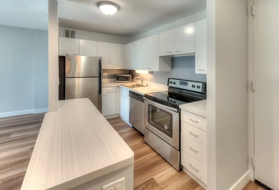 1130 S Michigan Ave, , 60605, USA 60605-unit#STUDIO-Chicago-IL