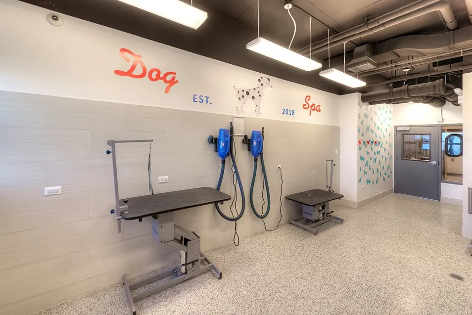 1130 S Michigan Ave, , 60605, USA 60605-unit#2/2-Chicago-IL