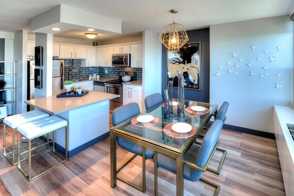 1130 S Michigan Ave, , 60605, USA 60605-unit#1/1-Chicago-IL