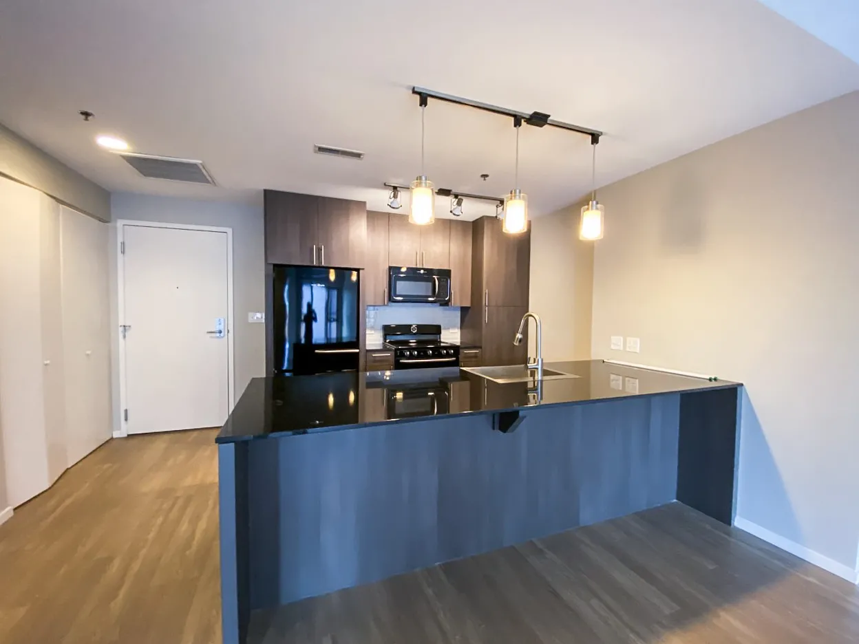 211 W Scott St, ,  60610, USA 60610-unit#1/1-Chicago-IL