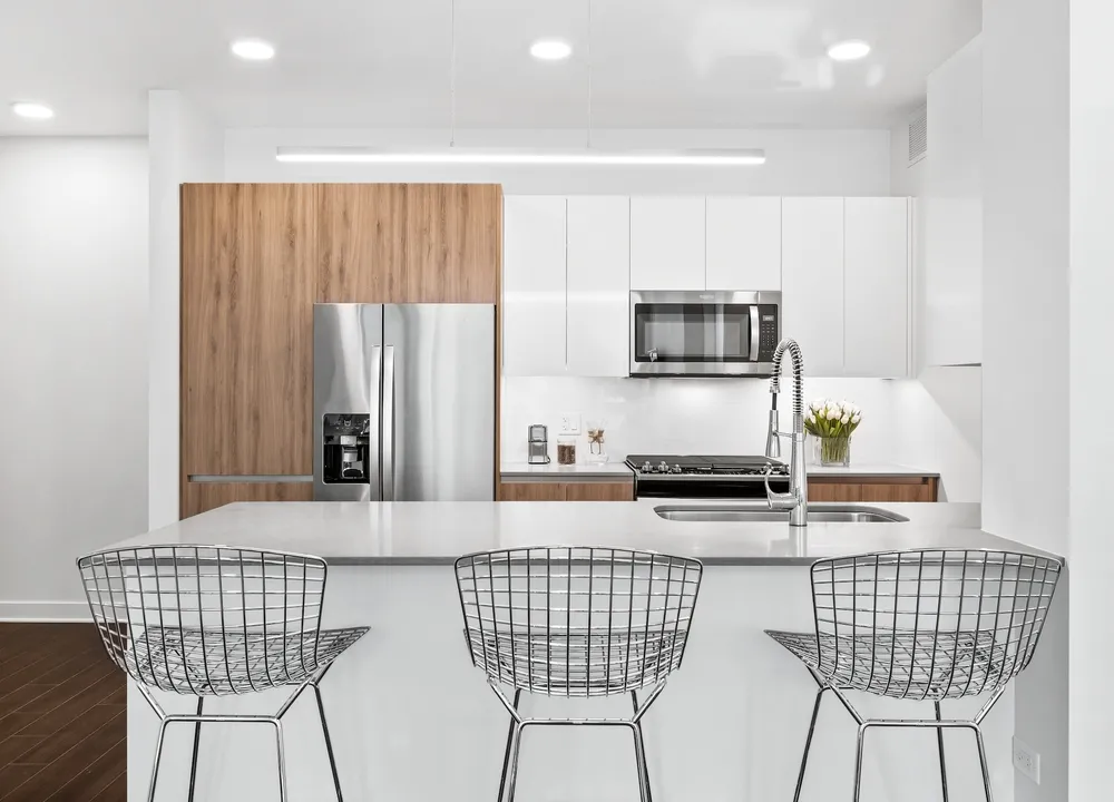 313 W Wolf Point Plaza, , 60654, USA 60654-unit#STUDIO-Chicago-IL